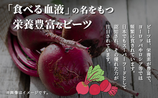 熊本県産 ビーツ の粉末セット (粗粉末100g×1袋・微粉末100g×1袋) あさぎり農園 スーパーフード 栄養豊富 美容 健康 115-0603