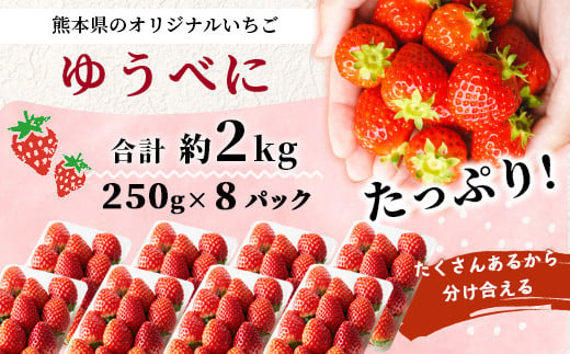 【2025年3月～発送開始】先行予約 熊本県産 いちご ゆうべに 2箱 (250g×8パック) イチゴ 果物 フルーツ 熊本県 多良木町 農園直送 107-0502