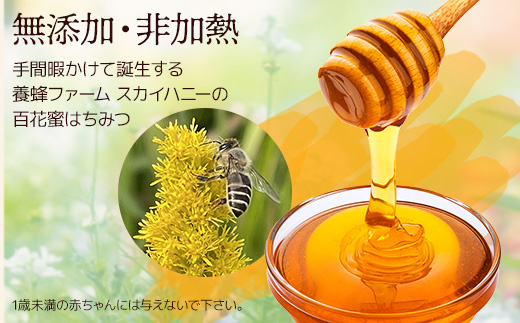 日本みつばち 蜂蜜「天使の宝」2個 セット 【 希少 ニホンミツバチ 100％ はちみつ 高純度 高濃度 垂れ蜜 ハチミツ ジャム 無添加 】094-0003