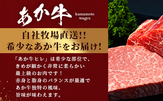 熊本和牛 あか牛 ヒレステーキ 240g (120g×2)【 牛肉 肉 お肉 ヒレ ステーキ 赤身 ブランド牛 希少 ヘルシー 焼肉 熊本県産 】 046-0784