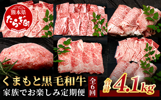 【定期便6回】くまもと黒毛和牛 家族でお楽しみ定期便  《 ロース すき焼き 焼肉 赤身 ハンバーグ10個 》【合計4.1kg】黒毛 和牛 焼き肉 すスキヤキ 焼き肉 上質 ブランド牛 国産 牛肉 冷凍 熊本県