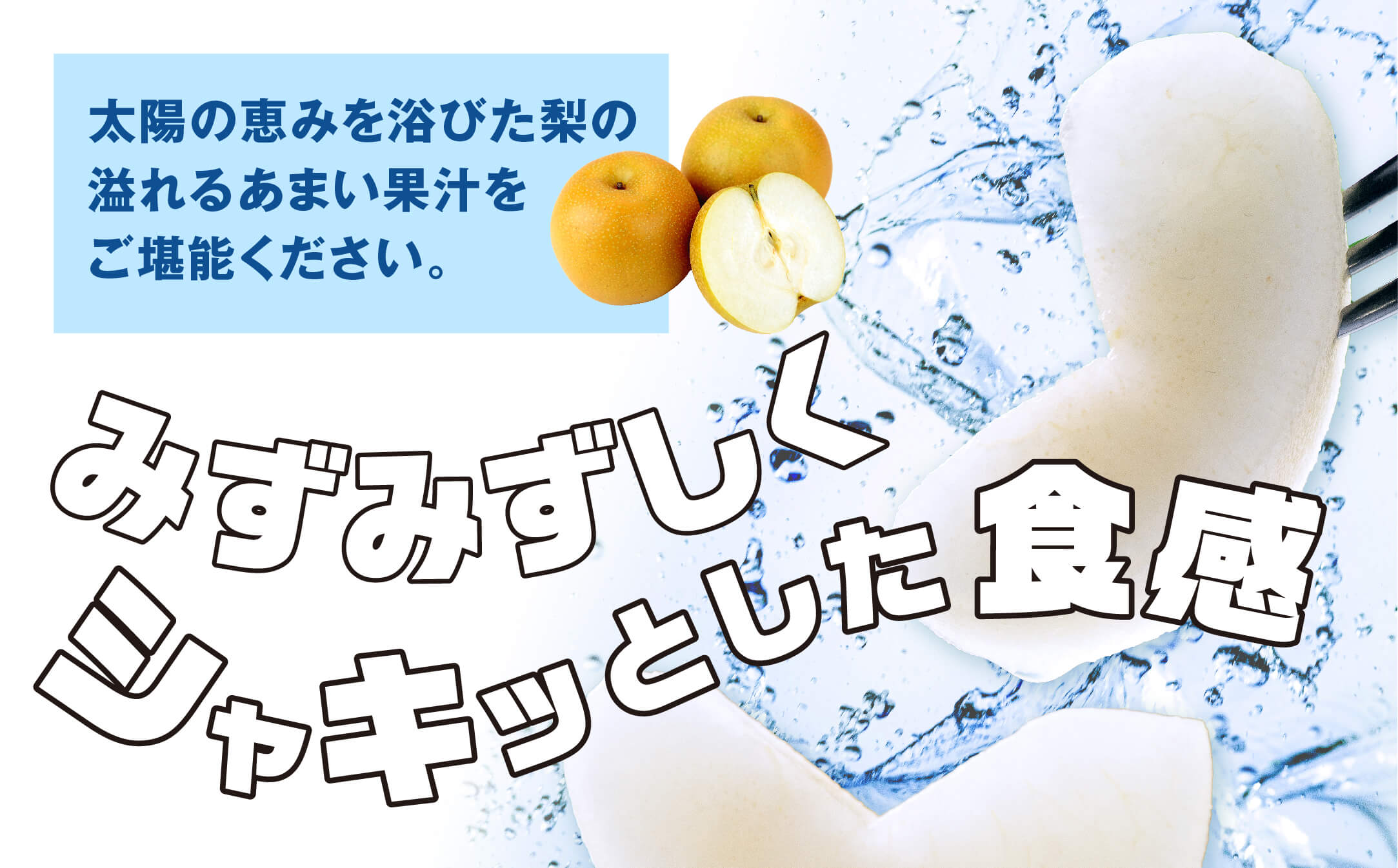 【数量限定・先行受付】JAくまの梨 5kg（14〜16玉）≪2024年8月上旬発送開始≫【 梨 なし ナシ 豊水梨 秋月梨 新興梨 熊本県 旬 くまの梨 期間限定 】004-0671