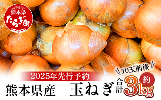 【先行予約】熊本県産 玉ねぎ 3kg (10玉前後) ≪2025年4月下旬から順次発送≫ 玉葱 野菜 数量限定 JAS たまねぎ オニオン 甘い ハンバーグ 肉じゃが 065-0635