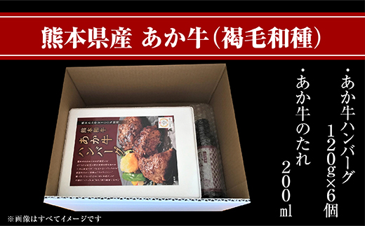 あか牛 100％ ハンバーグ 120g×6個 あか牛のたれ200ml セット 【 ハンバーグ あか牛 牛肉 肉 熊本産 国産牛 和牛 旨味 うま味 ぎっしり 熊本県 多良木町 牛肉 タレ付 】046-0455