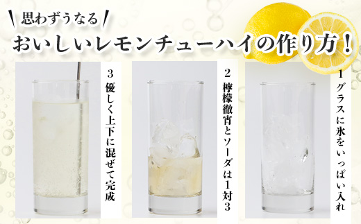 【チューハイの素×1ダース】檸檬徹宵 500ml × 12本 25度 芋焼酎使用 ソーダ割り 果実感 たっぷり レモン サワー 熊本県 多良木町 恒松酒造本店 本格焼酎 チューハイ ソーダ割り 040-0591