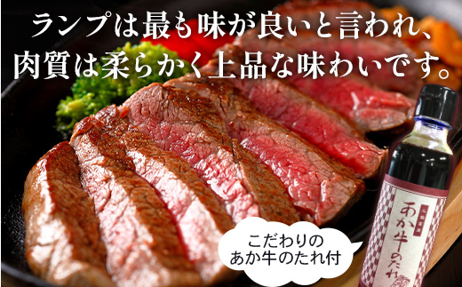 あか牛 ランプステーキ 150g×2枚 計300g たれ付き セット ＜あか牛のたれ200ml付き＞ 冷凍 牛肉 ランプ肉 ステーキ 熊本県産 褐毛和種 牛肉 肉 046-0242