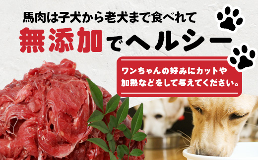 【 定期便12回 】 ペット用 熊本加工 馬肉 切り落とし 【 2kg ×12回配送 】 合計 24キロ ドッグ フード 無添加 無香料 ヘルシー 高栄養 馬刺し 冷凍 お肉専門店 熊本県 国内加工 041-0508