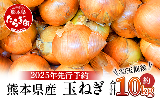 【先行予約】熊本県産 玉ねぎ 10kg (33玉前後) ≪2025年4月下旬から順次発送≫ 玉葱 野菜 数量限定 JAS たまねぎ オニオン 甘い ハンバーグ 肉じゃが 065-0637