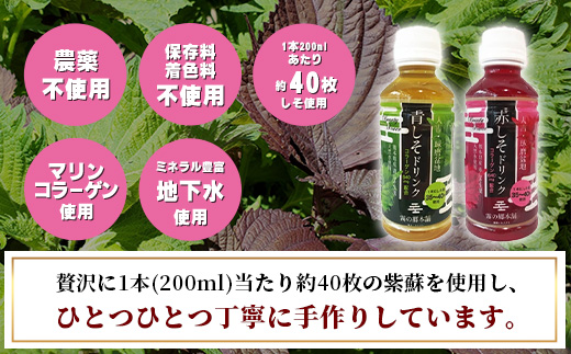 熊本県産 赤しそ・青しそ ドリンク 200ml × 10本セット 保存料・着色料不使用 ≪ ポリフェノール ・ コラーゲン・ビタミン ≫ 美容 健康 栄養豊富 紫蘇 天然水 115-0602