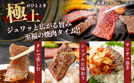 【GI認証】くまもと あか牛 肩 焼肉 用 約500g ＜約250g×2p＞ 冷凍 小分け ヘルシー あか牛 焼き肉 やき肉 肩ロース 牛肉 和牛 国産牛 赤身 073-0412