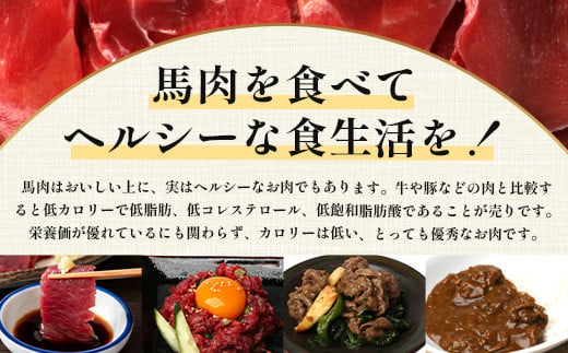 熊本県 馬スジ 1㎏（500g×2）【 馬肉 すじ肉 大容量 本場 熊本県 馬 赤身 煮込み カレー シチュー 冷凍 真空 熊本 肥育 ヘルシー 赤身 肉 高栄養 肉 】 041-0149