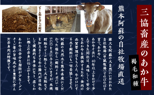 あか牛 ロース ステーキ たれ付き セット 200g×2枚 合計400g ＜あか牛のたれ200ml付き＞ 熊本県産 褐毛和種 牛肉 肉 046-0458