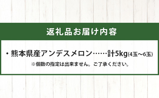 【2025年4月下旬以降発送分 先行予約】アンデスメロン 4玉〜6玉（1箱5kg）熊本県 多良木町産 果物 フルーツ メロン 先行予約 5kg 青肉 期間限定 数量限定 012-0556