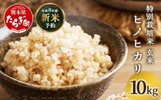 【令和8年産 新米予約】特別栽培米「ヒノヒカリ 玄米」10kg 井上農園 10月より順次出荷 熊本県 お米 米 精米 ひのひかり 玄米 国産 114-0602
