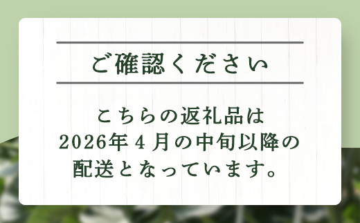 【2026年分 予約】 先行予約 グラバーメロン 3玉 (約3kg) 熊本県 多良木町産 フルーツ 果物 高糖度 メロン ぐらばー めろん 熊本メロン 2026年4月中旬～発送開始　013-0557