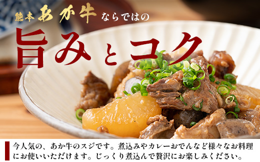 【 定期便 12回 】 熊本 あか牛 スジ肉 1㎏ × 12回 【 合計 12kg 】 牛スジ  熊本 熊本県産 あか牛 牛肉 ブランド 肉 お肉 ヘルシー 041-0167