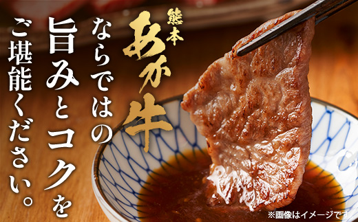 【 定期便 12回 】 熊本あか牛 焼肉用カット ( バラ ・ ロース ) 500g × 12回 【 合計 6kg 】 国産 牛肉 冷凍 熊本 熊本県産 あか牛 赤牛 切り落とし 041-0166