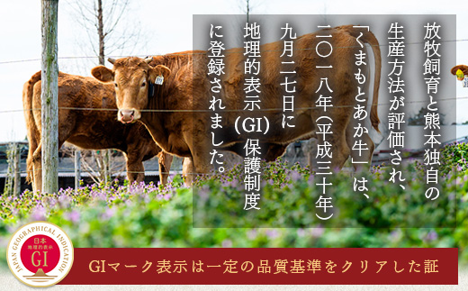 【あか牛】 くまもとあか牛 切り落とし 約800g ＜約400g×2p＞ 冷凍 牛肉 和牛 国産牛 073-0408