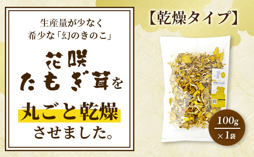 無農薬栽培【花咲 たもぎ茸 (乾燥) 100g 】幻 キノコ タモギダケ ヒラタケ 健康 栄養豊富 出汁 だし 115-0606