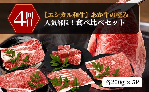 【 定期便4回 】【 エシカル和牛 】あか牛の極み お試し4回定期便 ( 合計3.6kg ) ステーキ ハンバーグ 焼肉 食べ比べ 焼肉 しゃぶしゃぶ すき焼き 熊本 あか牛 牛肉 赤身 和牛 国産 033-0508