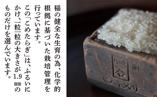 【おいしい米 定期便 毎月発送 全3回】＜R5年産先行予約＞ 多良木町産 こめたらぎ にこまる 10kg × 3ヶ月 発送 合計30kg 【 定期便 3回 お米 白米 精米 農家 想い 自然 グランプリ 豊か 熊本県 多良木町 】 044-0583-a