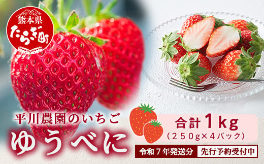 【2025年3月～発送開始】先行予約 熊本県産 いちご ゆうべに 1箱 (250g×4パック) イチゴ 果物 フルーツ 熊本県 多良木町 農園直送 107-0501