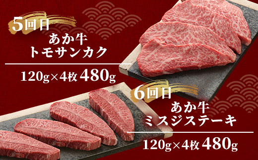 【定期便6回】あか牛希少6種のステーキ 定期便 < サーロイン600g・ランプ450g・ヒレ360g・三角バラ480g・トモサンカク480g・ミスジ480g > 【 牛肉 お肉 ステーキ あか牛 定期便 贅沢 熊本県 】046-0805