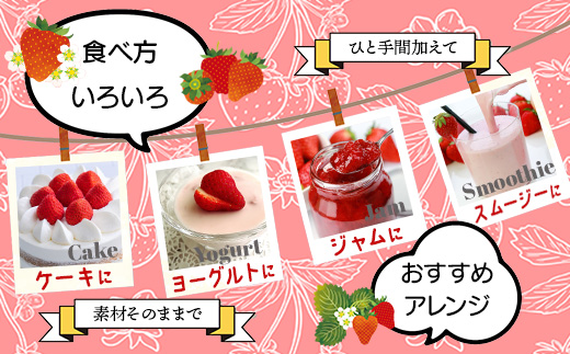 熊本県産いちご ゆうべに 約260g×4パック2026年1月～発送  産地直送 国産 新鮮 フレッシュ 果物 苺 イチゴ 103-0002