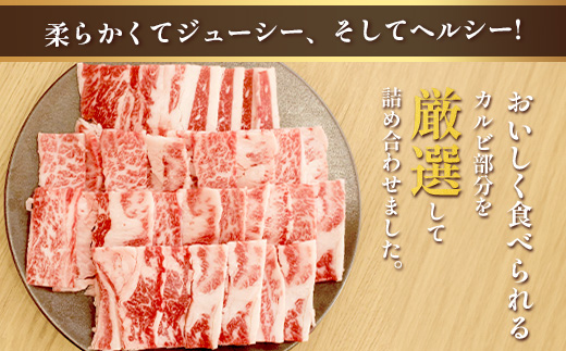 くまもとあか牛 カルビ 焼肉用 計500g 熊本県 ブランド牛 肉 ヘルシー 赤身 牛肉 焼き肉 やきにく やき肉 BBQ 炒め物 ごちそう 肉 国産 ジューシー カルビ