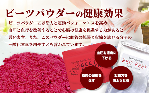 熊本県産 ビーツ の粉末セット (粗粉末100g×1袋・微粉末100g×1袋) あさぎり農園 スーパーフード 栄養豊富 美容 健康 115-0603
