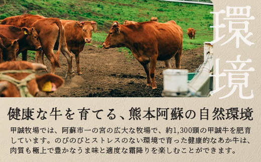 熊本和牛 あか牛 焼肉食べ比べ 500g (ロース250g・カルビ250g)【 牛肉 肉 お肉 焼肉用 バーベキュー BBQ カルビ ロース 赤身 】 046-0791