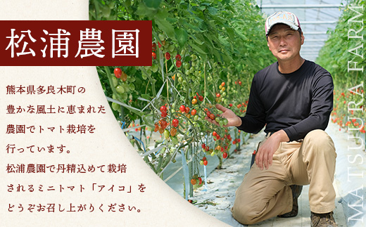 【産地直送】熊本県産 ミニトマト「アイコ (赤色)」約1.25kg 国産トマト アイコ とまと 甘い 熊本 多良木町 農園直送 新鮮 フルーツトマト フルーティ 020-0532