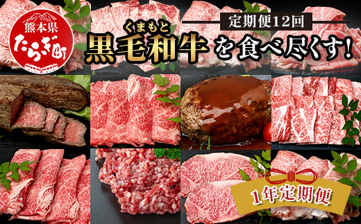 【定期便12回】くまもと 黒毛和牛 を味わい尽くす！1年12回配送 定期便 【合計 9.06kg】本場 熊本 黒毛 和牛 ブランド 牛 肉 すき焼き 焼肉 しゃぶしゃぶ ハンバーグ ステーキ ローストビーフ 上質 熊本 113-0550