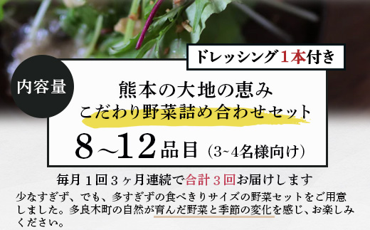 【定期便3回】熊本の大地の恵み≪ 野菜で野菜を食べる ≫ 旬のこだわり 野菜 ＆ドレッシング セット (3〜4名様向け) 野菜 獲れたて 8～12品 直送 旬 新鮮 定期便 野菜ドレッシング 詰め合わせ 詰合せ 熊本県 多良木町 024-0814