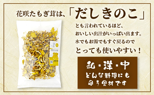 無農薬栽培【花咲 たもぎ茸 (乾燥) 100g 】幻 キノコ タモギダケ ヒラタケ 健康 栄養豊富 出汁 だし 115-0606