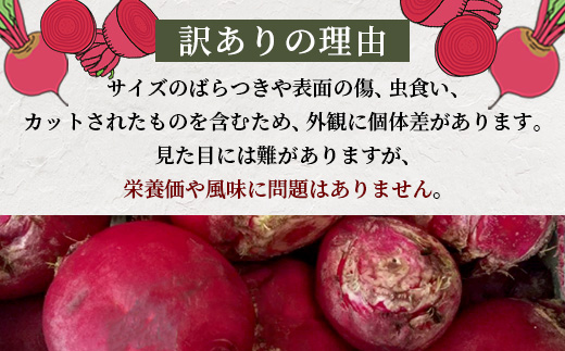 【訳あり】熊本県産 生 ビーツ 2kg スーパーフード 高栄養 びーつ beet 生 あさぎり農園 野菜 根菜 美容 健康 115-0610