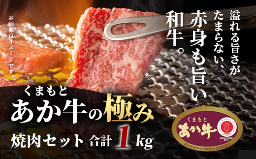 極みあか牛 ・ 焼き肉セット ( モモ ・ カルビ ・ 煮込用 ) 【 1kg 】 バラ カルビ モモ 焼肉 焼きしゃぶ 煮込み 熊本 あか牛 牛肉 赤身 和牛 国産 033-0504