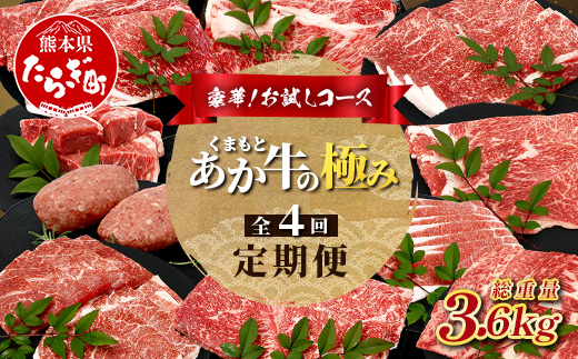 【 定期便4回 】【 エシカル和牛 】あか牛の極み お試し4回定期便 ( 合計3.6kg ) ステーキ ハンバーグ 焼肉 食べ比べ 焼肉 しゃぶしゃぶ すき焼き 熊本 あか牛 牛肉 赤身 和牛 国産 033-0508