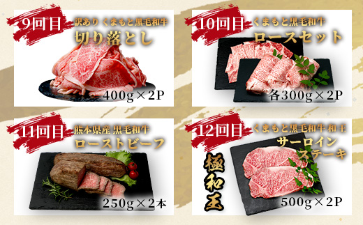 【定期便12回】くまもと 黒毛和牛 を味わい尽くす！1年12回配送 定期便 【合計 9.06kg】本場 熊本 黒毛 和牛 ブランド 牛 肉 すき焼き 焼肉 しゃぶしゃぶ ハンバーグ ステーキ ローストビーフ 上質 熊本 113-0550
