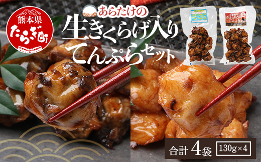 熊本グッドプロダクト賞 ! 生きくらげ入り てんぷら～焦がしニンニク入＆プレーン 4パック セット(各2P) 真空パック さつまあげ さつま揚げ つけあげ きくらげ キクラゲ 木耳 魚介 熊本県 多良木町 あらたけ蒲鉾店 102-0502