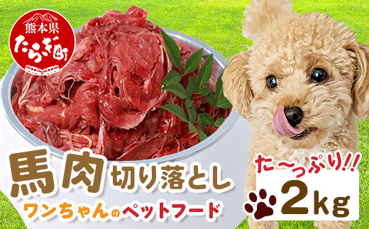 ペットフード 熊本加工 馬肉 切り落とし 【 2kg 】 ドッグ フード 無添加 無香料 ヘルシー 高栄養 馬刺し 冷凍 2キロ お肉専門店 熊本県 国内加工 041-0505