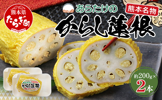 【熊本名物】あらたけの からし蓮根 2本セット (約200g×2本) 辛子 レンコン れんこん 熊本県 特産 名産品 ピリ辛 滋養 多良木町 老舗 あらたけ蒲鉾店 102-0503