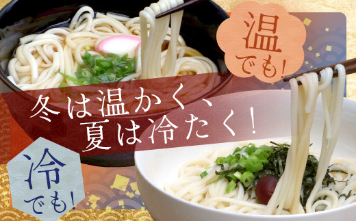 ざるうどん 1袋（2人前）【 うどん 乾麺 涼 麺 冷やし 夏 食欲増進 さっぱり 温 あったか 便利 備蓄 保存食 常温保存 夏休み ランチ 昼食 夕食 夜食 1000円 】076-0471