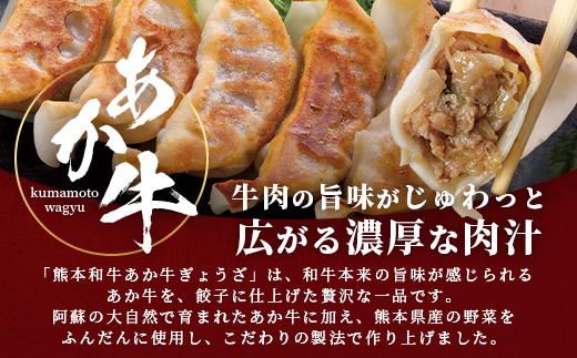 【餃子】 熊本和牛 あか牛 ぎょうざ セット【40個】(20個入り×2) 熊本県 和牛 あか牛 冷凍 生餃子 ぎょうざ おかず 総菜 お弁当  046-0632
