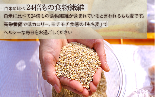 【 熊本県産 もち麦 】3kg(500g×6袋) 白米 と 炊くだけ！【 もちもち 食感 ぷちぷち  食物繊維 炊飯 健康 高栄養 ポリフェノール  熊本県 多良木町産 】065-0589