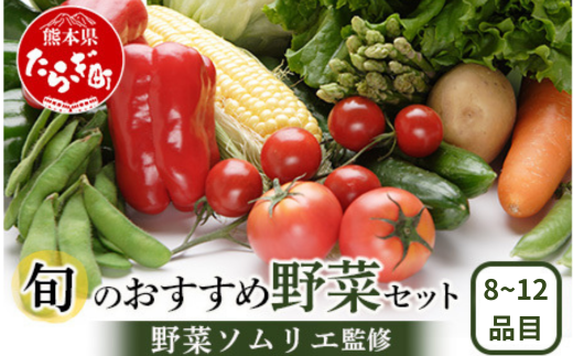 野菜ソムリエ 監修 旬のおすすめ 野菜 セット 8〜12種類  野菜 獲れたて 新鮮 直送 旬 熊本県 多良木町 024-0819