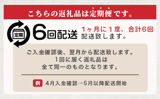 【 定期便6回 】ペット用 熊本加工 馬肉 切り落とし【 2kg ×6回配送 】 合計 12キロ ドッグ フード 無添加 無香料 ヘルシー 高栄養 馬刺し 冷凍 お肉専門店 熊本県 国内加工 041-0507