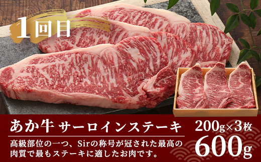 【定期便3回】あか牛 ステーキ 食べ比べ！ 3回配送 熊本県産 【 サーロイン ランプ リブロース ステーキ 牛肉 赤身 肉 定期 和牛 国産 ご褒美 定期便 3カ月 】046-0675