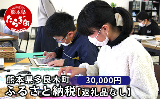 熊本県多良木町への寄附（返礼品はありません）【 ふるさと納税 熊本県 多良木町 応援 寄附 】028-0344-30