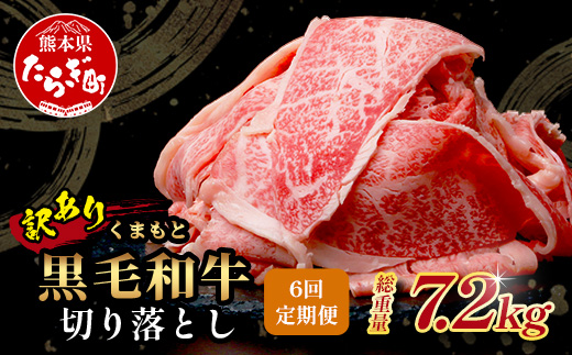 【定期便6回】《訳あり》くまもと黒毛和牛 切り落とし 1.2kg ( 400g ×3 ) ×6回配送 【合計7.2kg】本場 熊本県 黒毛 和牛 ブランド 牛 肉 上質 くまもと 113-0517